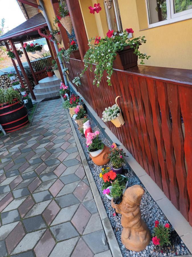 Casa Vio Hotel Sighisoara Exterior photo