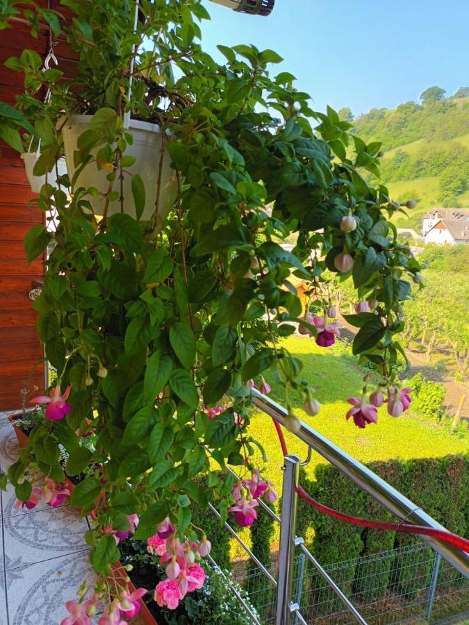 Casa Vio Hotel Sighisoara Exterior photo