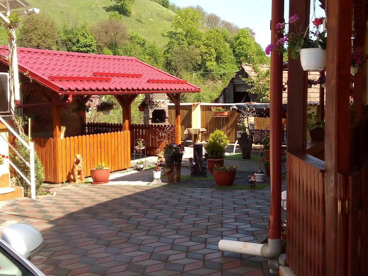 Casa Vio Hotel Sighisoara Exterior photo